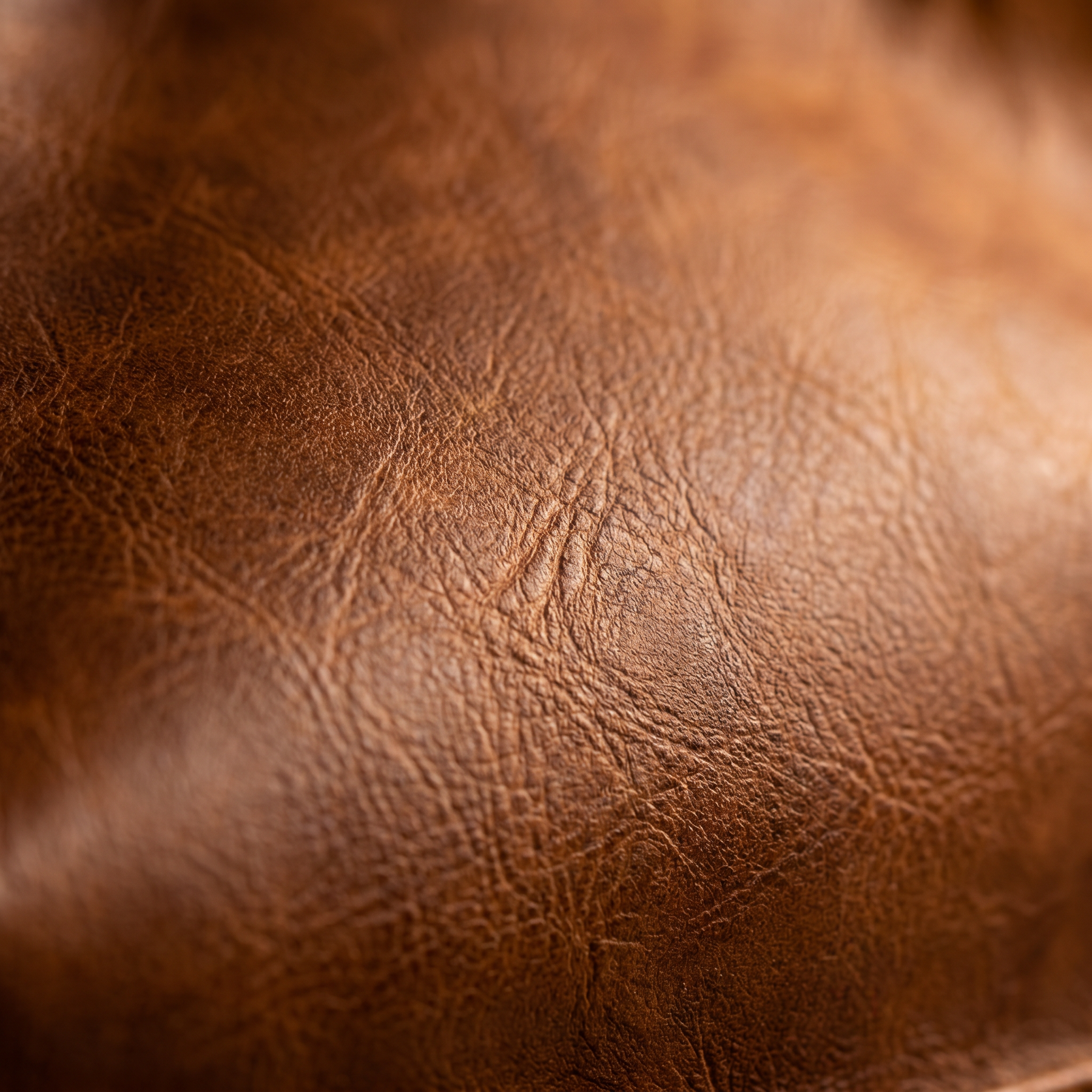 Men's Leather Backpack - Cairn