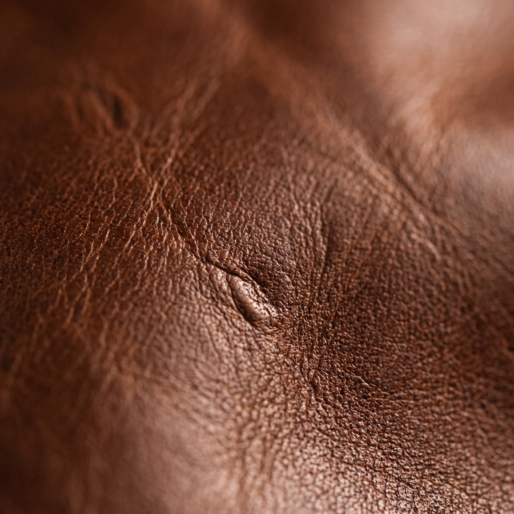 Men's Leather Backpack - Thornfield