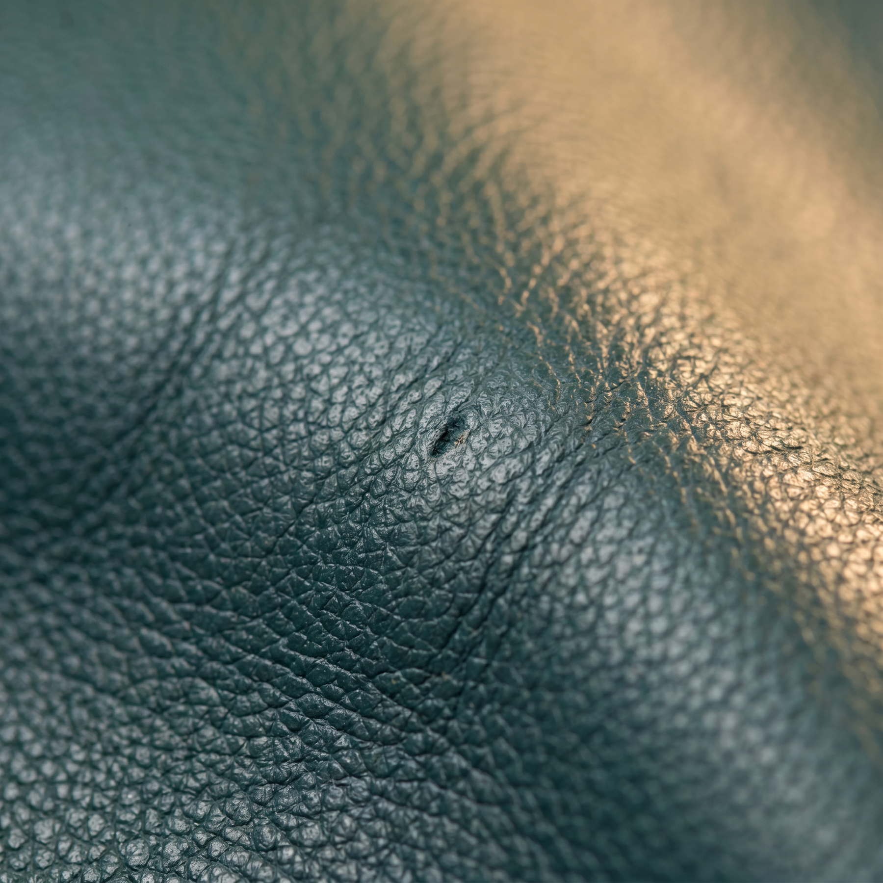 Women's Leather Backpack - Temporal