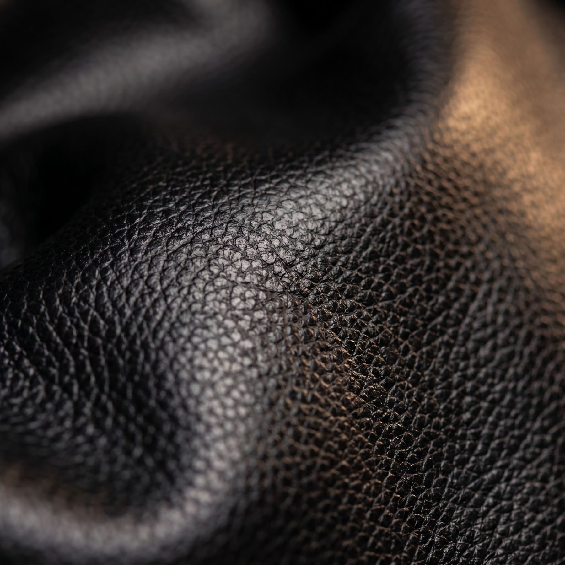 Women's Leather Backpack - Ymir