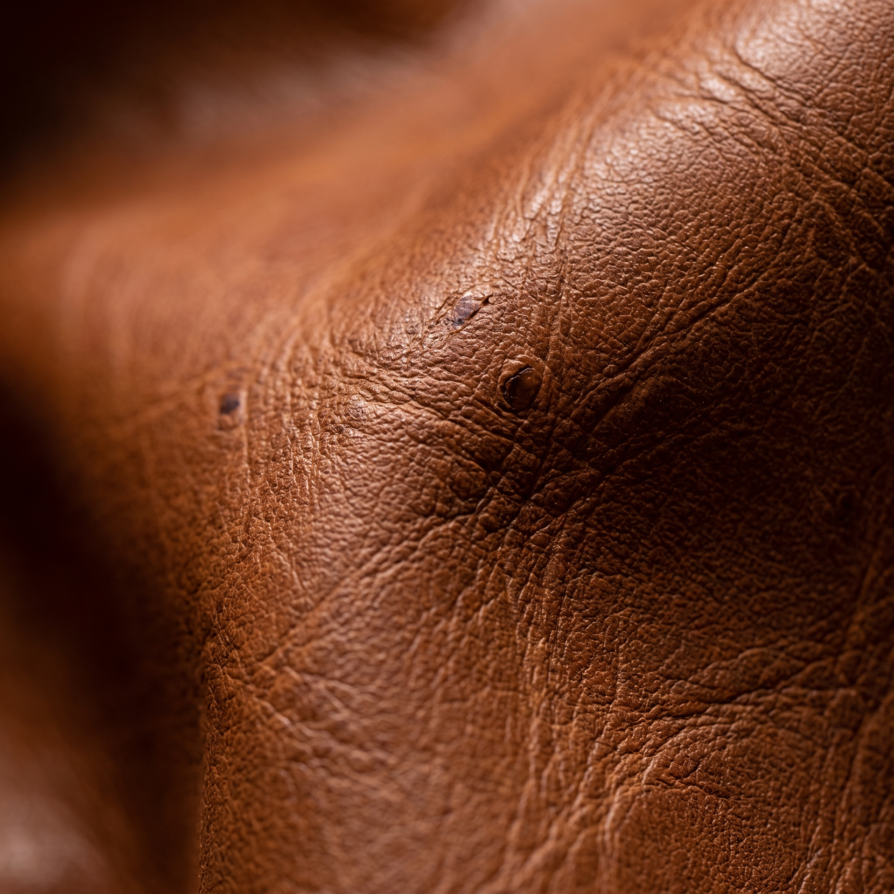 Men's Leather Backpack - Flint