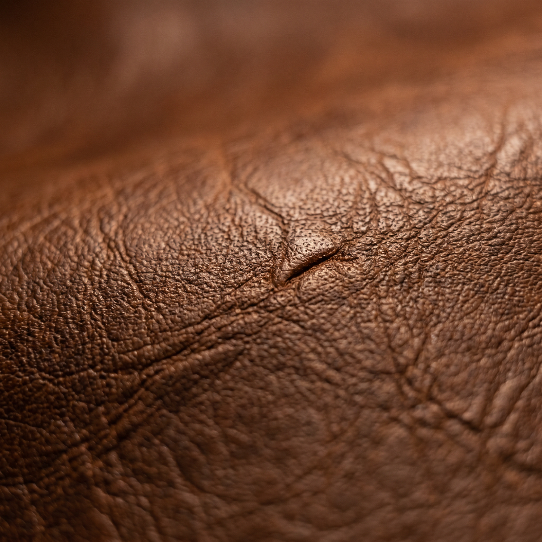 Men's Leather Briefcase - Rock